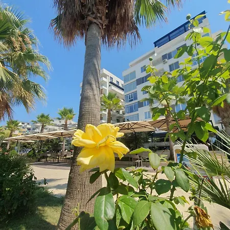 Flor De Mar Qerret *