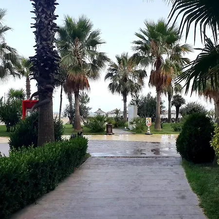 Flor De Mar Qerret * 格勒姆