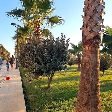 Flor De Mar Qerret Golem (Tirana)